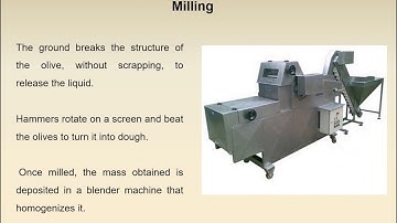 PowerPoint Presentation on Olive Oil Processing (under PMFME Scheme) - ENGLISH