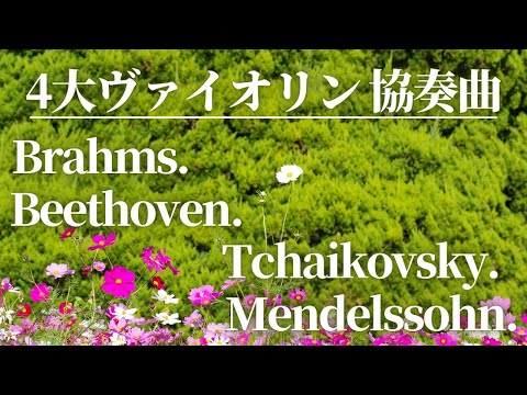 【名曲クラシック】4大ヴァイオリン協奏曲（ブラームス、メンデルスゾーン、チャイコフスキー、ベートーベン）作業用BGM Vioiin Concerto.