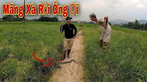 Cuộc Gọi Khẩn Cấp Của Ông Lão 70 Tuổi Bị Quái Thú Tấn Công