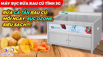 Máy Rửa Rau Củ Quả Tự Động| Bồn Rửa Rau Củ Tĩnh Nhà Hàng| Điện Máy 3G