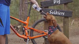 Trail Dogs by Morvélo Bicycle Apparel by Pet Planet 110 views 5 years ago 1 minute, 59 seconds