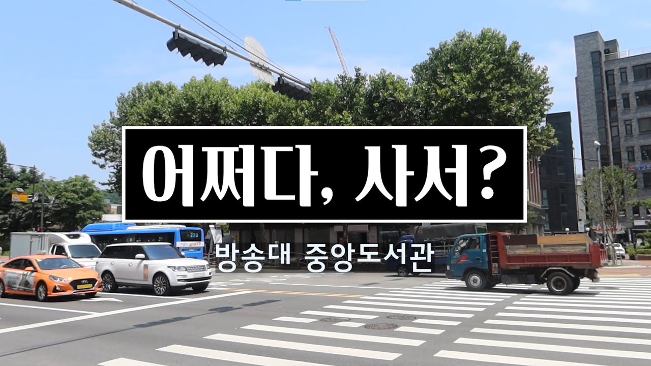 어쩌다, 사서? (신규 사서들의 도서관 입성기)