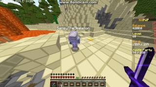 Report Sansytheskeleton Hacking.