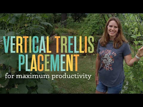 Where to Place Vertical Trellises in the Garden hqdefault
