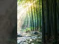 Inner Peace | Spiritual Zen Piano for Deep Healing & Anxiety Relief