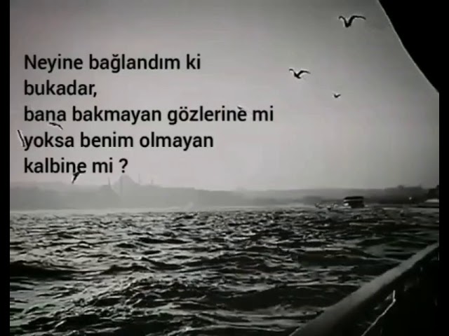 chia tohumu adet düzensizliği yaparmı taylant dizileri türkçe dublaj