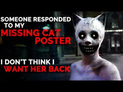 "someone-responded-to-my-missing-cat-poster.-i-don