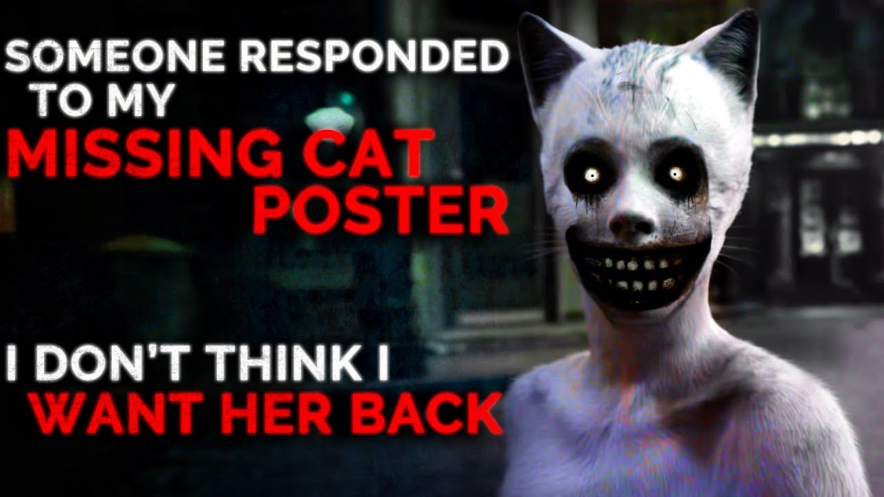 someone-responded-to-my-missing-cat-poster-i-don-t-want-her-back