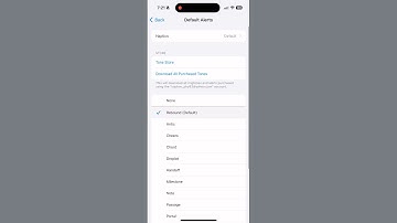 iOS 17.2 NEW Default Alert Sounds #shorts