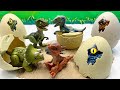 Dinosaur Egg Hatching In Jurassic Park | Tyrannosaurus Velociraptor Triceratops 쥬라기월드 공룡알 사냥꾼