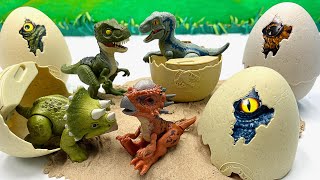 Dinosaur Egg Hatching In Jurassic Park | Tyrannosaurus Velociraptor Triceratops 쥬라기월드 공룡알 사냥꾼