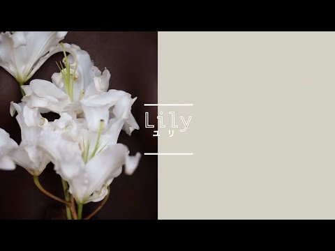 วีดีโอ: Sego Lily กลายเป็นดอกไม้ประจำรัฐยูทาห์เมื่อใด