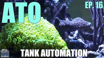AUTOMATIC TOP OFF - Why You Need One -Tank Automation