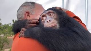 Download Lagu Best Moments When Animals Reunited With Their Owners After Years MP3 Download Lagu Best Moments When Animals Reunited With Their Owners After Years MP3