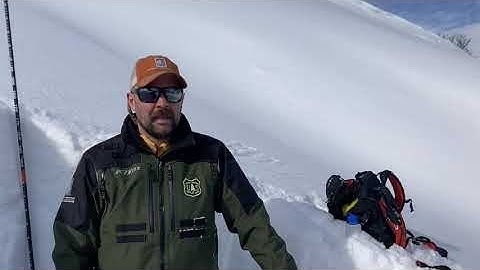 New Snow & Small Avalanches, Buck Ridge - 17 Feb 2022