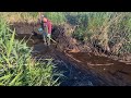 Beaver dam removal || Dangerous one!