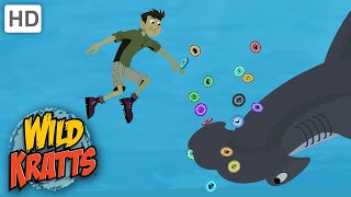 Wild Kratts | Kratts Find A Hammerhead |SHARKS