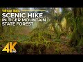 Relaxing Forest Hike along Talus Rocks Loop Trail - 4K Nature Walk with Real Sounds