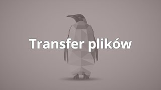 Kurs Linux dla programisty | Transfer plików | ▶strefakursow.pl◀