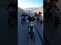 Dog Riders: The Fast & the Fur-ious #funny #ai#dog  #aishorts #comedy #foryou #aivideo #humor