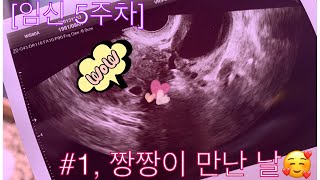 vlog #1, 아기집 확인하고 산모수첩 받아왔어요!(임신 브이로그)