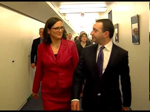 შეხვედრა ევროკომისარ სესილია მალმსტრომთან