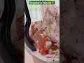 Strawberry Falooda Icecream 🍦🍓#Foodies #foodlovershorts #streetfood #Icecream #Falooda #foodlove
