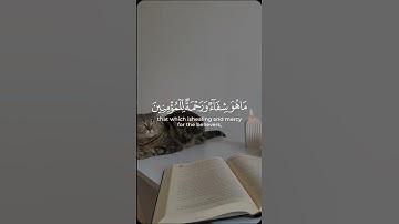 سورة الإسراء ♥️ | الآية 82
