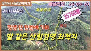 (24.09. 29) 임도 잘 형성된 접근성 좋은 임야. 버섯, 산약초, 산나물 수확 가능한 가성비 좋은 산림경영부지.