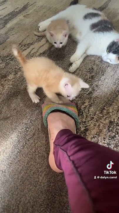 Ok cute