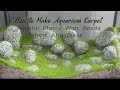 Make Aquarium Carpet - Aquatic Plants With Seeds from Aliexpress