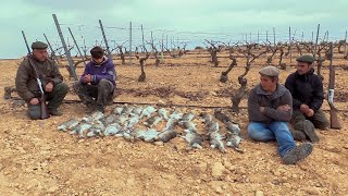 Dos ibicencos descastando conejos en Cuenca