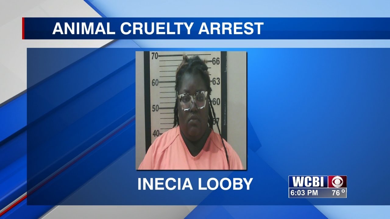 Starkville woman arrested on animal cruelty charge - YouTube