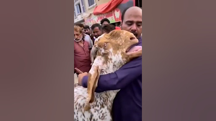 😭 Bakra ro  raha hai Apne Malik se judaa hokar#bakra#viral #trending #
