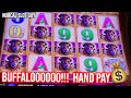 Buffalo gold jackpot hand pay 3 60 bet  norcal slot guy