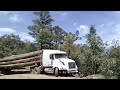 Caminos muy angostos - Camiónes troceros de Durango