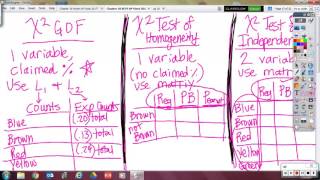 Chapter 26 Notes, Part 3