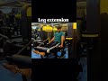 Leg Extension Exercise | Build Massive Quads Fast 🔥