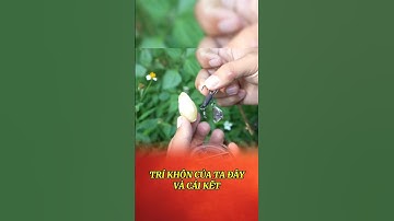 Mẹo làm mồi câu tự chế tại nhà #lkhoa #cauca #shorts