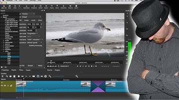 ShotCut Tutorial - All Beginners Need to Know to Get Started With the ShotCut Video Editor