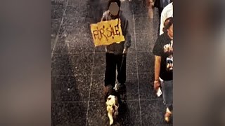 Dog owner shares photo of missing English bulldog with man holding 'For Sale' sign screenshot 3