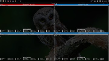 Terminator: how I update multiple servers at one time | Linux quick tutorial