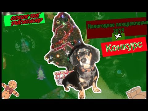 Видео: Поздравление с новым годом|| Конкурс|| Оскар||2019