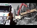 Timberman - Timber Truck Loader - Sweden