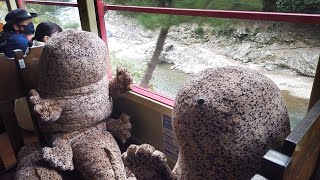 隣の客は「オオサンショウウオ」　京都のトロッコ列車