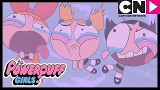 La cebolla gigante de Mojo Jojo | Las Chicas Superpoderosas | Cartoon Network