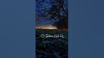 سورة هود الآيات { ٩ - ١٠ } #المصحف #quran #اكسبلور #islamicfestival #لايك #duet #الرحمن #islamicholi