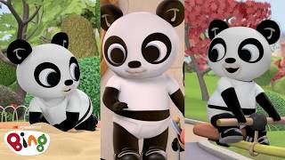 Pando is playing music today! | #Shorts | Bing Shorts Compilation