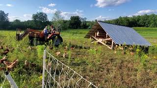 Moving our Joel Salatin style Millennium Feathernet