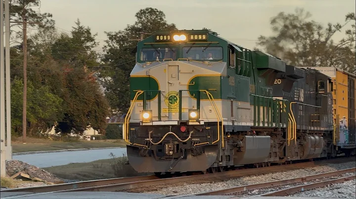NS 8099 “Southern” leads NS 191 in Georgia